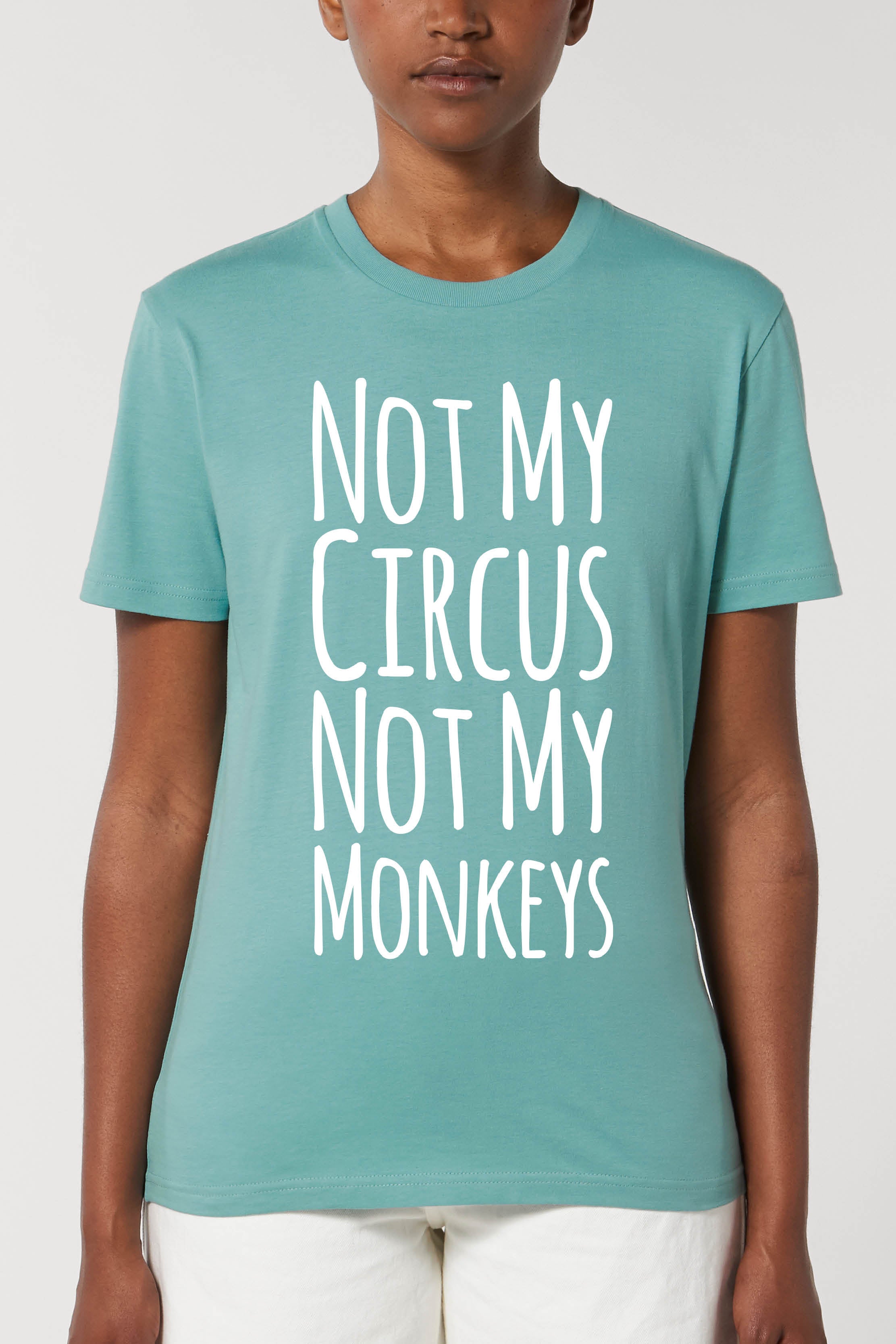 Basic T-Shirt 3.0 (unisex)