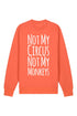 Basic Sweatshirt 3.0 (unisex) *neue Passform* - 